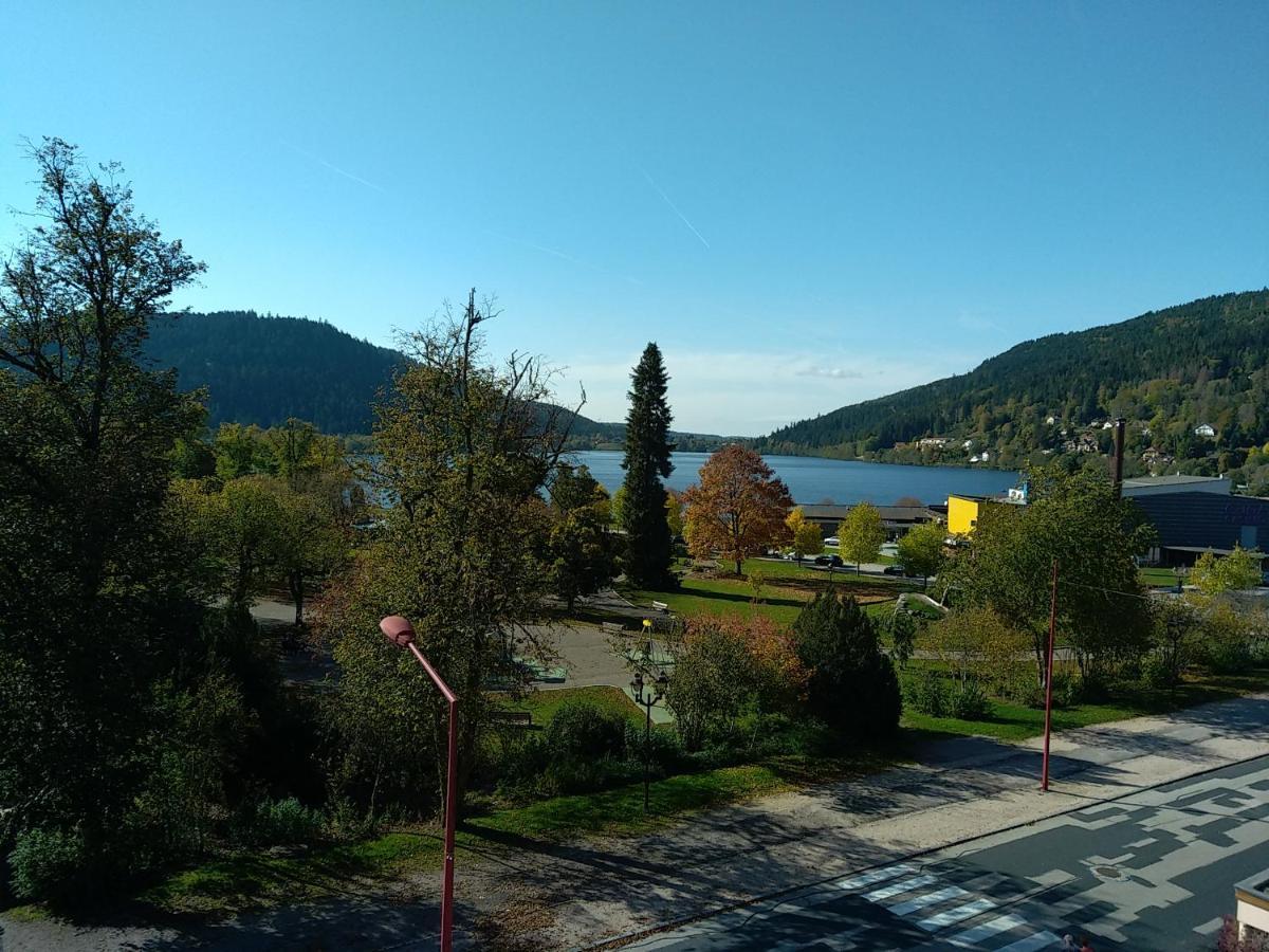 Les Loges Du Parc Otel Gérardmer Dış mekan fotoğraf